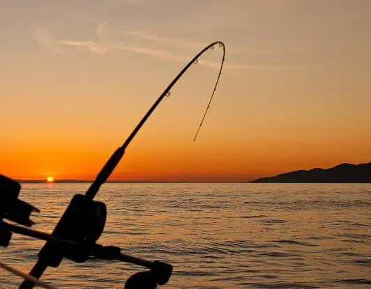 თევზაობა