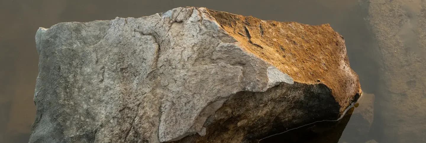 ცხოვრების სტილი