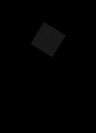 Private Villa C1